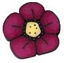 Large Raspberry Wildflower